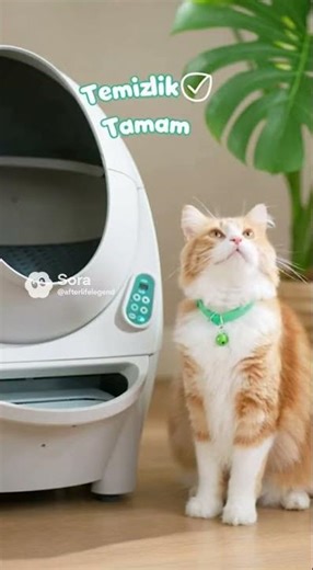 Smart Cat Presses Button to Clean Its Own Litter Box!