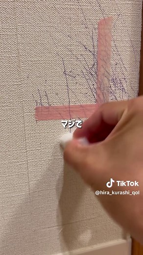 ボールペンのインクを落とすプロのテクニック