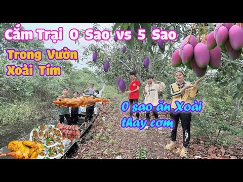 Cắm Trại 0 Sao Vs 5 Sao Trong Vườn Xoài Tím