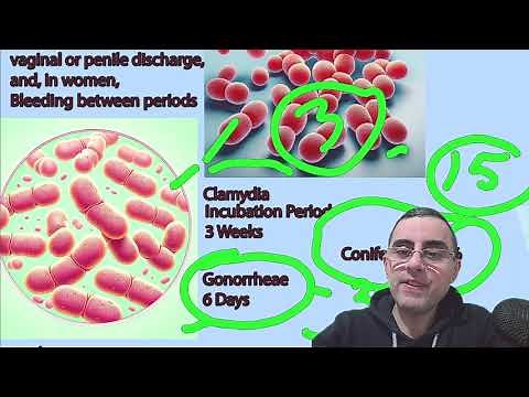 Understanding Chlamydia and Gonorrhea: Key Differences and Similarities