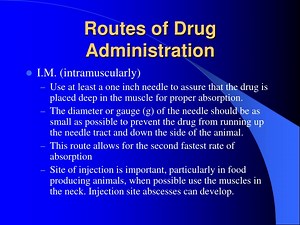 Routes of Drug Administration - SlideServe