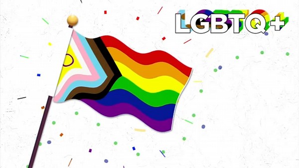 What do LGBTQ and LGBTQIA+ mean?