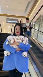 Suddenly bad people stole all the girl's dogs 🤯💔#shorts #dog #shortsfeed #shortsvira #shortvideo #viralvideo | SK Abhishek Facts