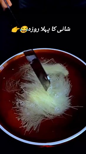 Cato 🐈 (@smiley_queen2900)’s videos with original sound - Funny Videos😆