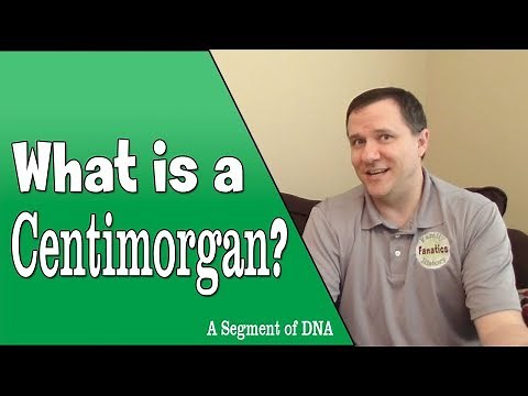 What is a Centimorgan in DNA Testing? | Genetic Genealogy Explained