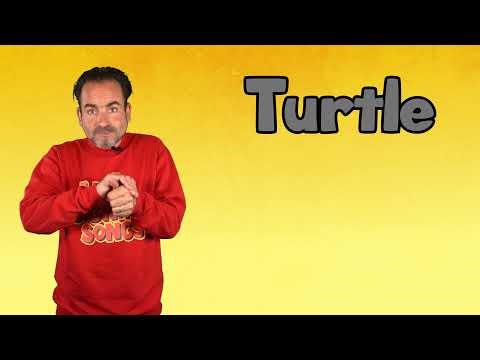 Sign TURTLE| ASL for TURTLE| TURTLE in Sign Language | Sign Language for TURTLE