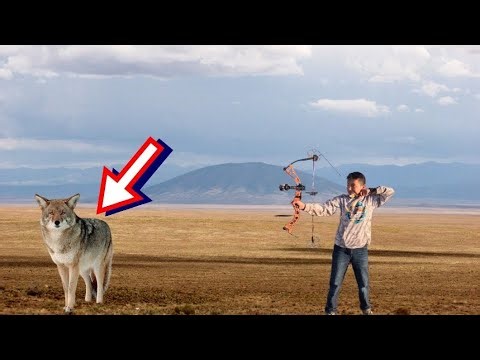 New Mexico coyote hunt that maybe is prairie dog hunting