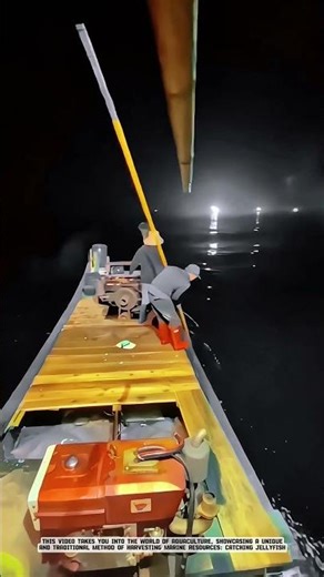 Jellyfish Harvesting: Manual Netting for a Sustainable Marine Harvest! #agriculturalinnovation