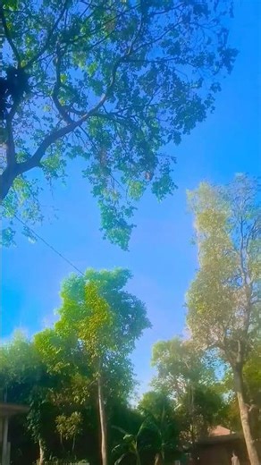 bas ak najar usane dekh #viral #song #bbhojpuri #viralmusic #bhojpuri #comedy #viralvideo #xj9