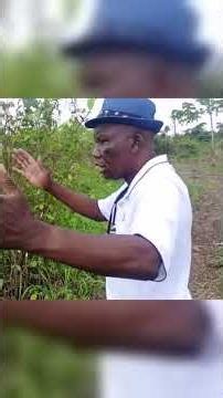 Why We Call It Apoki Diaspora City