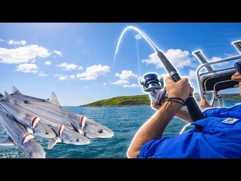 This Spot Is LOADED With BIG Gummy Sharks!!! (INSANE RESULTS)