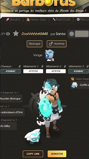 TOP 5 DES SKIN LES PLUS VUES SUR BARBOFUS 🚨