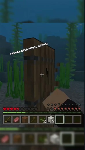 Ketika Player Java Nyoba Main Bedrock...