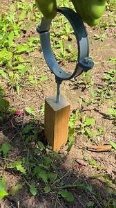 2.2M views · 8.6K reactions | Easy DIY Garden | Crafty Panda | Facebook