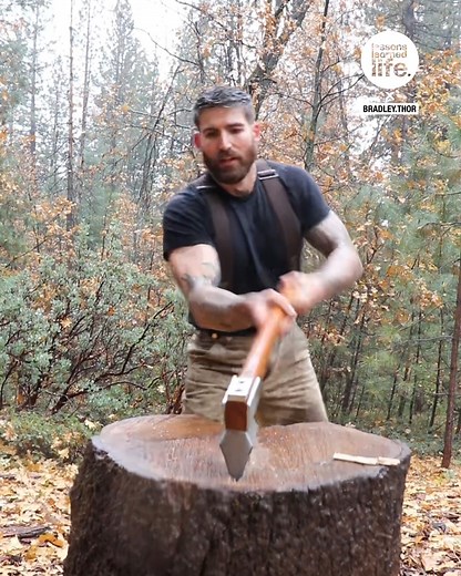84K views · 319 reactions | Satisfying log chopping 蝹望 | Lessons Learned In Life | Facebook