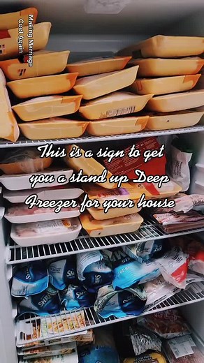 Stand Up Deep Freezer for Homeowners | Best Purchase from Lowe's