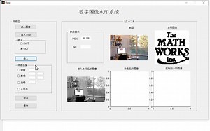 MATLAB数字水印技术【微matlab1998】