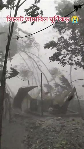 আল্লাহ আপনি হেফাজত করুন.🤲 আমাদের পাপের প্রতিফল দেখাইয়েন না, আমরা আপনার গুনাগার বান্দা...