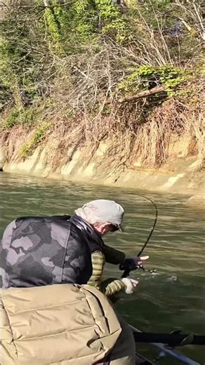This Steelhead DESTROYED the Plug! #steelhead #fishing #outdoors