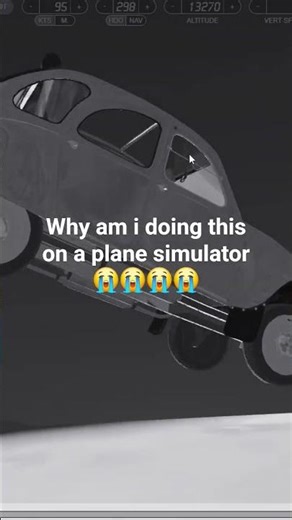best plane simulator