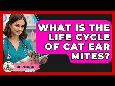 What Is The Life Cycle Of Cat Ear Mites? - Happy Cat Handbook