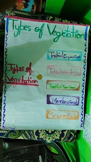 how to make a flowchart of types of different types of vegetation