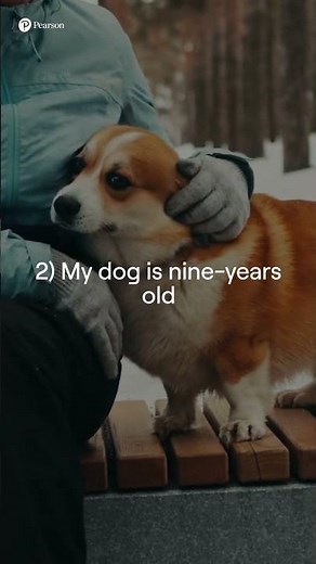 Grammar 101: Hyphens and dashes #pearsonlanguages #grammartips