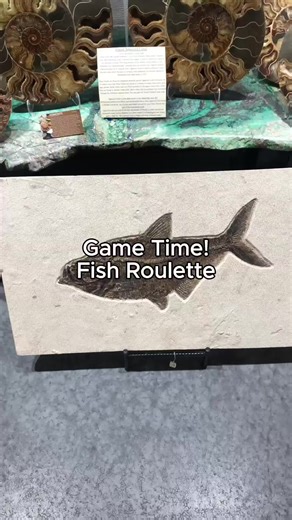 Exploring Fossilized Fish from the Green River Formation