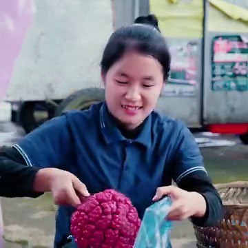 Harvesting Lava Fruit Goes to the market sell | Ella Daily Life | Flixgo Cookies