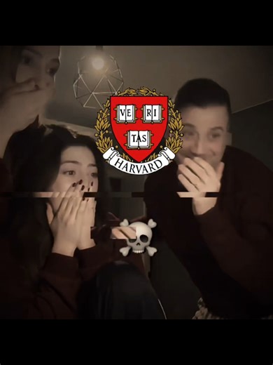 Harvard Acceptance: Foco e Persistência Transformam Números