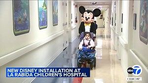 Disney teams up with La Rabida Children's Hospital to offer magical experience to patients