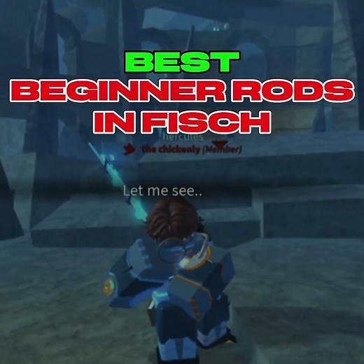 Best rods for beginners in fisch!