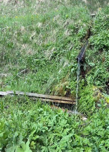 Oven Feast by Our Ancestral House Spring Magic & Roasted Chicken ⛺️🍗🌸 | Village Cooking