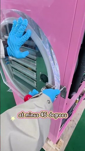 Ever Wonder How Freeze-Dried Mangoes Are Made So Perfectly?