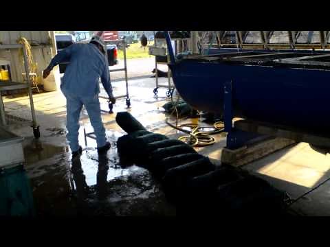 How to Purge Crawfish