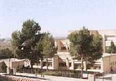 Proyecto “El mundo de los insectos”