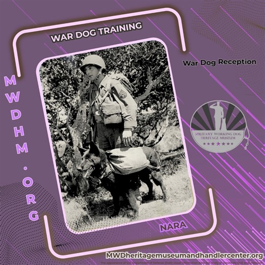War Dog Training "Sturdy, well muscled dogs are used by our fighting forces to transport small quantities of food, first air supplies, and ammunition as they accompany their masters on scouting and patrolling missions. The dog's superior sense of smell warns his master of the presence of the enemy. He presents a small, hard-to-hit target when carrying messages, which may mean the difference between defeat and victory. War Dog Reception and Training Center, San Carlos, California This item was pr