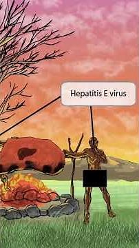 Hepatitis E Virus — A waterborne infection with severe pregnancy risks