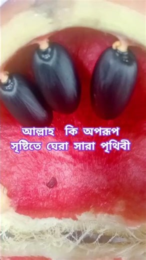 আমি করলে আল্লাহ আমার উপর খুশি হবে #duet #motivation #quotes #bayan #love #wazlife #banglawazmahfil