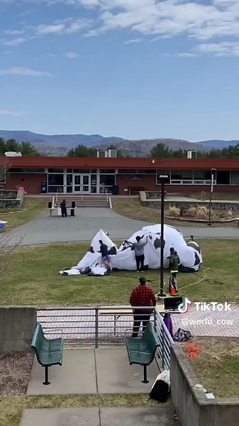 Giant Inflatable Cow Available for Events and Festivals