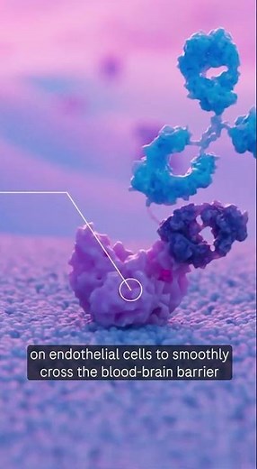 Discover the Brainshuttle™ technology