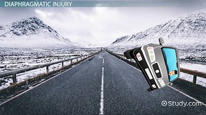 Diaphragmatic Injuries: Symptoms, Complications & Treatments