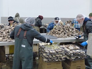 Good Places To Meet Guys In Seattle