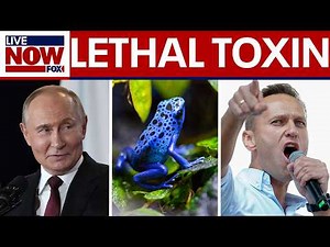 Putin opponent killed with lethal frog toxin, European countries conclude