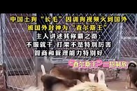 中国土狗“长毛”因训狗视频火到国外，在外网封神，主人讲述其称霸之路_腾讯新闻