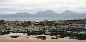 What limpets can tell us about life on Mesolithic Oronsay