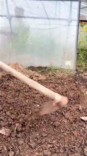 Leveling garden soil surface using a wooden rake tool