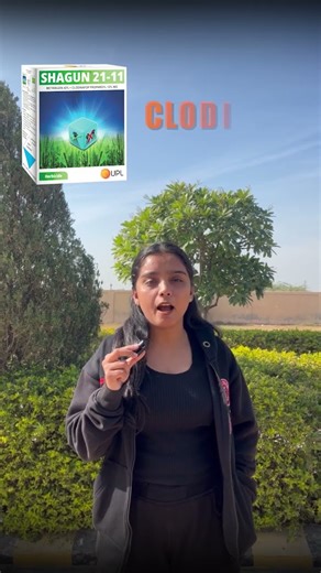 25–30 Days Wheat Crop Weed Control 🌾 | Metasulphuron Methyl Explained