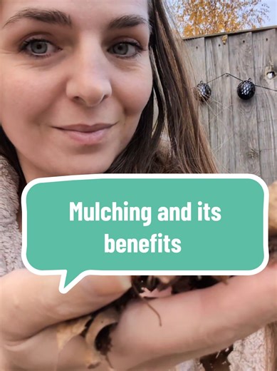 Mulching and its benefits. #mulching #mulch #plantcare #planttips #gardening #gardentok #vegetablegardeningforbeginners