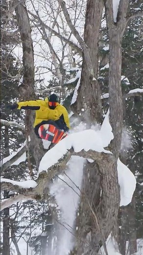 Sebbe De Buck's tree ride from 'FORCE MAJEURE' 😤